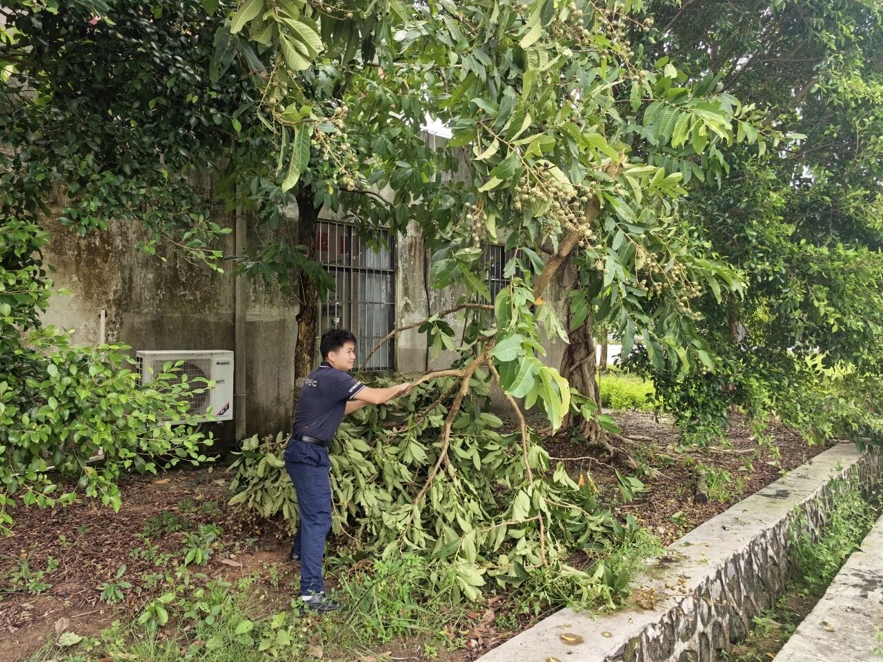 微信图片_2025-10-13_164719_635.jpg 微信图片_2025-10-13_164719_635.jpg